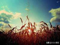 淮安春之宇网络科技有限公司