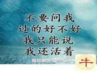 淮安春之宇网络科技有限公司