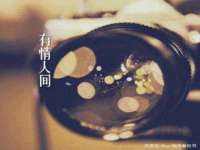 淮安春之宇网络科技有限公司