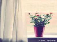 淮安春之宇网络科技有限公司