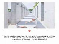 淮安春之宇网络科技有限公司