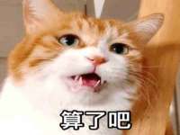 淮安春之宇网络科技有限公司