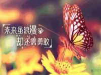 淮安春之宇网络科技有限公司