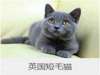 淮安春之宇网络科技有限公司