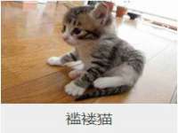 淮安春之宇网络科技有限公司