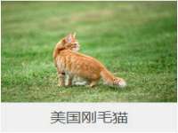 淮安春之宇网络科技有限公司