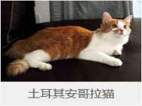 淮安春之宇网络科技有限公司