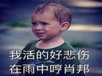淮安春之宇网络科技有限公司