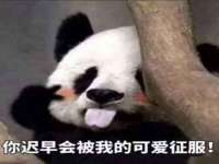淮安春之宇网络科技有限公司
