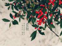 淮安春之宇网络科技有限公司