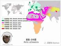 淮安春之宇网络科技有限公司