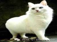 淮安春之宇网络科技有限公司