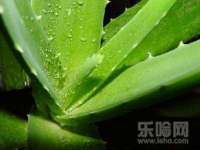 淮安春之宇网络科技有限公司
