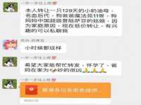 淮安春之宇网络科技有限公司