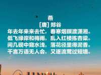 淮安春之宇网络科技有限公司