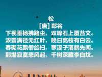 淮安春之宇网络科技有限公司