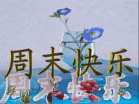 淮安春之宇网络科技有限公司