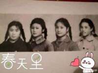 淮安春之宇网络科技有限公司