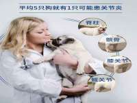淮安春之宇网络科技有限公司