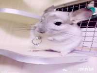 淮安春之宇网络科技有限公司