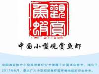 淮安春之宇网络科技有限公司
