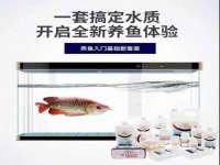 淮安春之宇网络科技有限公司