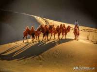 淮安春之宇网络科技有限公司