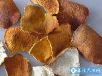 淮安春之宇网络科技有限公司