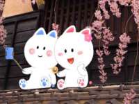 淮安春之宇网络科技有限公司