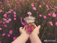淮安春之宇网络科技有限公司