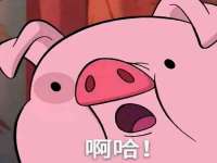 淮安春之宇网络科技有限公司
